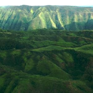 Meet your Posher, Mia